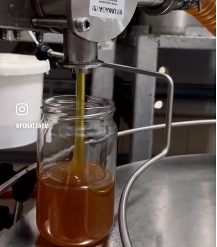 איך מגיע הדבש לצנצנת ? דבש טהור, מכוורת פורת
